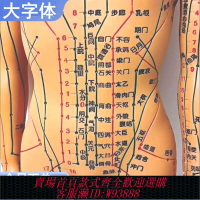 {臺灣公司貨 可打統編}針灸穴位人體模型經絡穴位模特圖全身按摩中醫十二銅人扎針小皮人