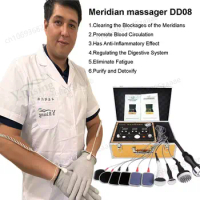 Physiotherapy Instrument Bioenergy Massage Machine Bioelectric Meridian Dredge Pulse Dds Bio Electric Body Massager