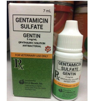 Gentin Eye Price Voucher Dec 2023 BigGo Philippines