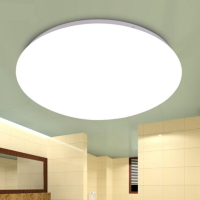 圓形吸頂燈12W白光LED燈 230MM 節能省電燈 樓梯陽台燈 浴室燈 玄關燈 廁所燈【AM460A】 123便利屋