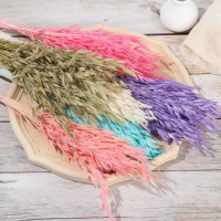 25/50Pcs Colorful Real Wheat Ear Flower Decor Natural Pampas Rabbit Tail Grass Dried Flower for Wedding Party DIY Craft Bouquet