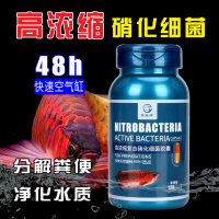 繪彩硝化細菌膠囊魚缸水質凈化劑 水族箱活性干粉產酶硝化菌60粒