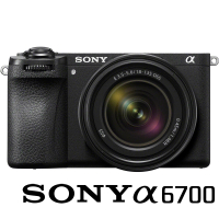 【SONY 索尼】ILCE-6700M A6700M A6700 KIT 附 18-135mm 旅遊鏡組(公司貨 APS-C 無反微單眼數位相機)