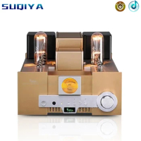 YAQIN TOP MS-650B 845 Tube Amplifier HIFI EXQUIS signle-ended Class A Lamp amp 12AT7 12AU7 with Remote