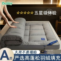 加厚床墊 雙人床墊 乳膠床墊 防蟎床墊 5尺 6尺 折疊床墊 羽絨床墊宿捨超厚軟墊褥子單雙人床榻榻米傢用鋪底