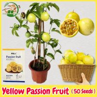 เมล็ดพันธุ์ เสาวรส สีเหลือง บรรจุ 50 เมล็ด Yellow Passion Fruit Seeds for Planting ผลไม้เสาวรส เมล็ด