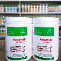 PROZYME FOR FISH new: men tiêu hóa cao cấp