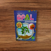 Buku RPAL Lengkap untuk SD kls 3-6
