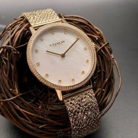 COACH26mm圓形金色精鋼錶殼貝母錶盤米蘭金色錶帶款CH00147