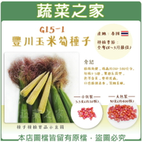 【蔬菜之家】G15-1豐川玉米筍種子(有藥劑處理)(共兩種包裝可選)