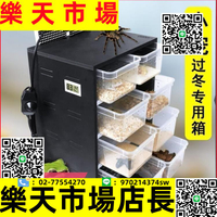 爬蟲保溫箱小爬寵飼養盒PVC角蛙烏龜蝎子蜘蛛守宮加熱繁殖寵物櫃