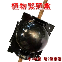 【珍愛頌】N143 植物生根器 植物高壓球 繁殖球 生根盒 嫁接球 高壓盒 嫁接球 扦插嫁接 高壓繁殖球 生根繁殖器