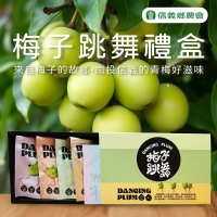 【信義鄉農會】梅子跳舞綜合梅端午節禮盒X1盒(100gX4包. 紫蘇梅.Q梅.陳年梅.紅茶梅)