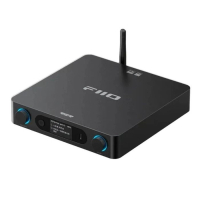 FiiO BR15 R2R香港版 高清藍牙音訊接收器 | 支持LDAC，aptX Lossless無損藍牙 (黑色)  