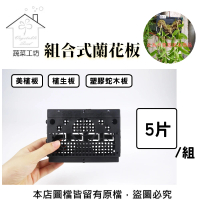 【蔬菜工坊】組合式蘭花板-5片/組(美植板.植生板.塑膠蛇木板)