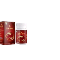 ZHI WU SUPLEMEN HERBAL ASAM URAT DAN NYERO SENDI tcm obat herbal cina kapsul bebas gula vitamin cina