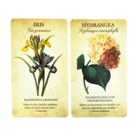 Botanical Inspiration Oracle Cards Funny Family Holiday Party Oracle Deck Playing Cards English Board Games Tarot Cards
