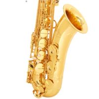 ALEX ATS-300 Bb tenor saxophone musical instrument grown-ups beginners grading examination