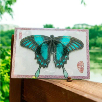 free shipping high quality Chinese traditional handmade kite butterfly kites with handle line silk and bamboo hcxkites factory