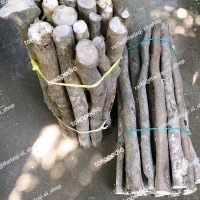 kayu bakar api unggun per ikat