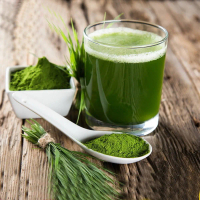 มัทฉะญี่ปุ่นเกรดพิธีพรีเมี่ยม FUKUO MATCHA จัดส่งจากประเทศไทย
