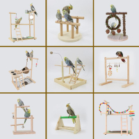【免運】可開發票 寵兒新家鸚鵡站架 實木臺架 游戲架 鸚鵡鳥玩具秋千吊環爬梯套裝