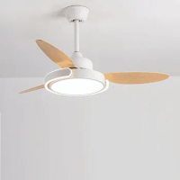 Modern Simple Fan Light 42 52 Inch Frequency Conversion Nordic Ceiling Fan Light Restaurant Creative Ceiling Low Floor Fan Light