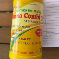 AMINO COMBI 79