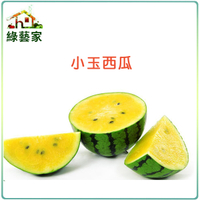 【綠藝家】大包裝I02.小玉西瓜種子2.5克(約50顆)