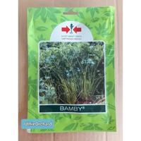 Benih Panah Merah – Seledri Bamby SP isi 10.000 benih