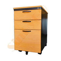 【鑫蘭家具】鋼木黑體木紋活動櫃 置物櫃 收納櫃 鐵櫃 檔案櫃