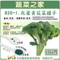 【蔬菜之家】B20-1.孔雀青花菜種子(共有2種包裝可選)
