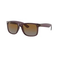 【RayBan 雷朋】經典方框太陽眼鏡(RB4165 漸層偏光鏡片 官方品牌館)