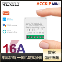16A迷你智能家居自動化模塊開關支持2路控制可與Alexa Google Home Smart Life App一起使用