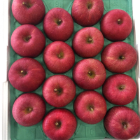 【FruitGo 馥果】日本青森縣蜜富士蘋果330g±10%x32顆/箱(原裝箱11kg±10%_陽光富士蘋果)