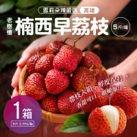 【雪莉朵辣嚴選】楠西早荔枝5斤±5%/箱#1箱$1130-1箱$1130
