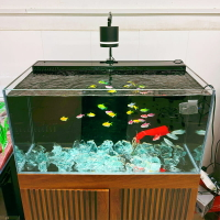 魚缸 免運開票/快速出貨 【加寬濾槽】魚水國度804040背濾魚缸客廳桌面中型生態水族箱南美風造景溪流缸L37公司貨