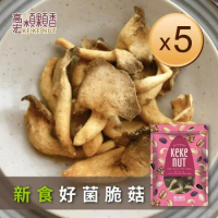 【高宏顆顆香】熱銷即食鮮蔬系列-好菌脆菇(秀珍菇酥)(70g/5包)