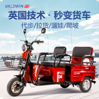 Electric Tricycle Bicycle Elderly Scooter Power Car Dump Truck Agricultural Vehicle Dump Truck Double Row Truck