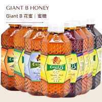 [500G] Giant B  Assorted Giant B Honey | GIANT B Madu