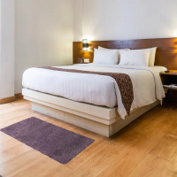 【Fuwaly】德國Esprit home 斯特拉羊毛紫地毯-70x140cm_ESP1925-01(羊毛 長毛 床邊地毯)