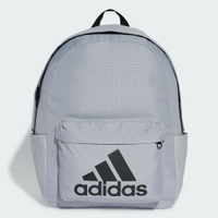 ADIDAS IZ1884 經典款 LOGO 後背包 雙肩後背包 兩側口袋 灰【iSport愛運動】