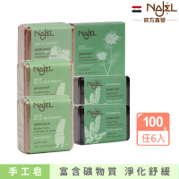 【敘利亞NAJEL】阿勒坡手工皂x6入香皂肥皂-有機木炭/死海泥/紅高嶺土/黑孜然油(總代理公司貨)