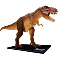 4D Big Tyrannosaurus Intelligence Assembling Toy Animal Organ Anatomy Model Medical Teaching DIY Popular Science Appliances