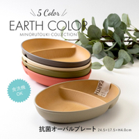 日本製 五色分隔盤 輕量餐盤 盤子 抗菌盤 耐摔 露營盤 木質盤 EARTH COLOR 日本進口 日本 代購