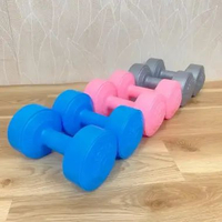 Potence Dumbell 2kg Barbel 2 kg Dumbel Plastik Dumbbell Dumble 2kg BIRU