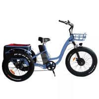 3 Wheel 20"*4.0 Fat Tire Electric Cargo Tricycle 500w/750w Long Range Lithium Battery Adult Bike For Sale With Basket