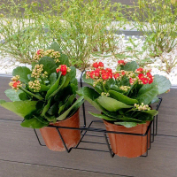 Rak Pot Bunga Balkon (Kotak)