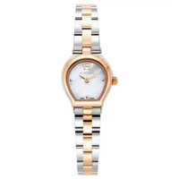 AIGNER AGW.256003 Women's Watch