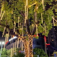 太陽能流星雨雙面燈管串燈滿天星節日戶外防水亮化掛樹上裝飾樹燈